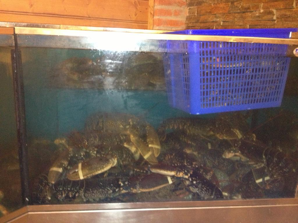 Hosteria San Emeterio Isla Luaran gambar